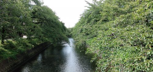 増田　夏の八神橋